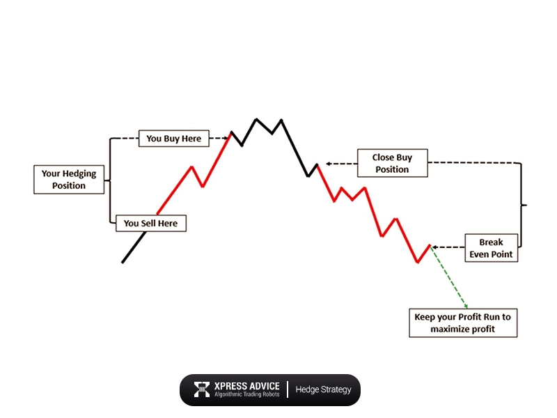 What is Hatch Trading Strategy in Forex?