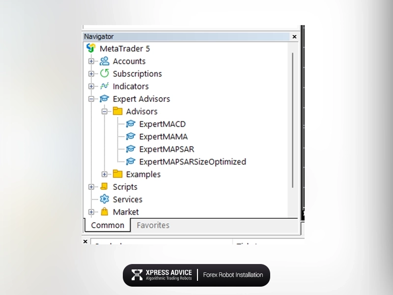 Expert Advisor section in Metatrader software